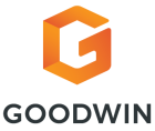 GOODWIN GOODWIN