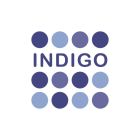 INDIGO CAPITAL INDIGO CAPITAL