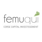 FEMUQUI VENTURES FEMUQUI VENTURES