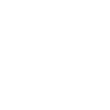 Price Tag Icon