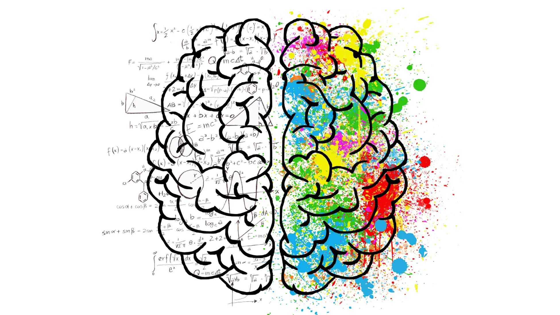 brain -- half creative, half analytical