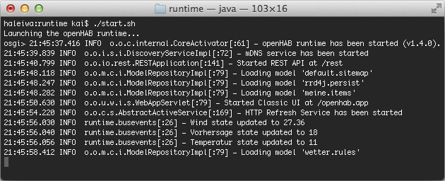 Bild 3: Starten der openHAB Runtime