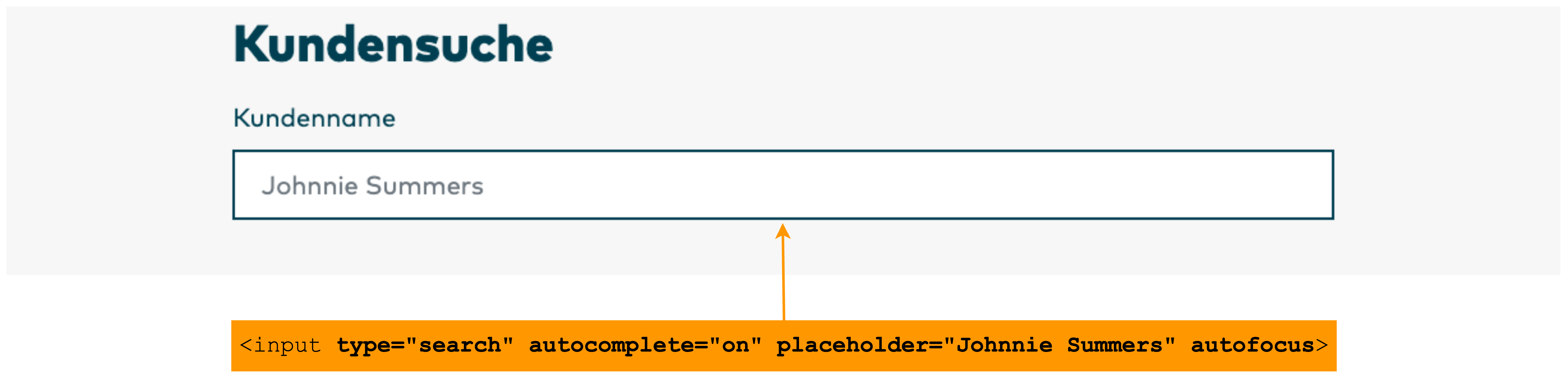 Semantic labelling of a search field and use of autocomplete, placeholder, and autofocus.