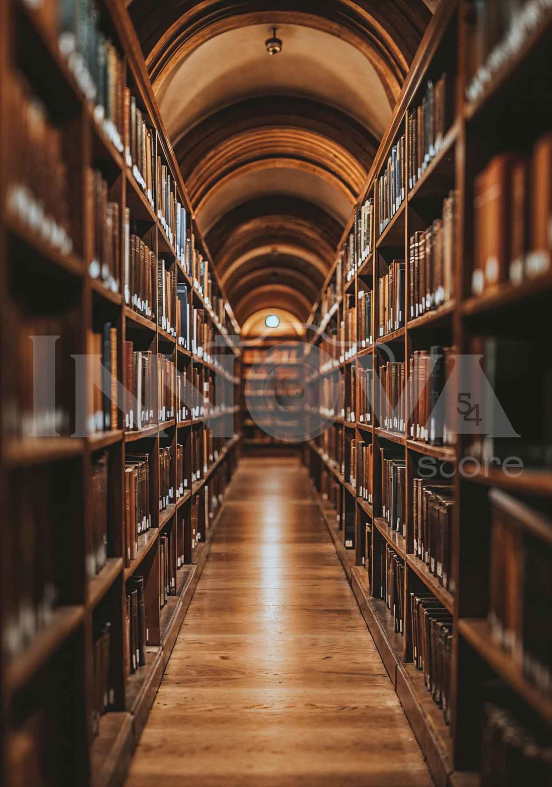 Fondo fotográfico Escolar — diseño 41