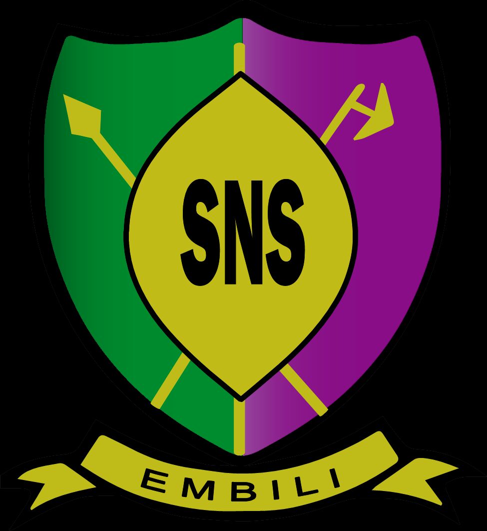 Swazi National High logo
