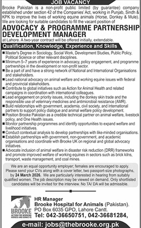 job advertisement image