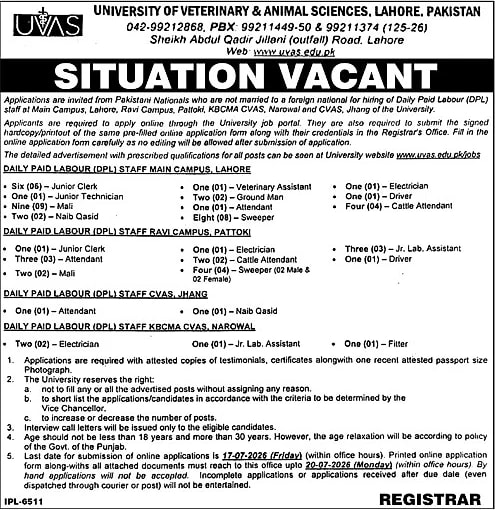 job advertisement image