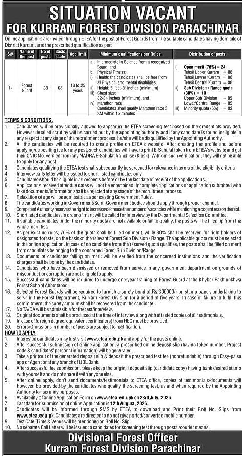 job advertisement image