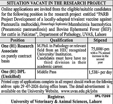 job advertisement image