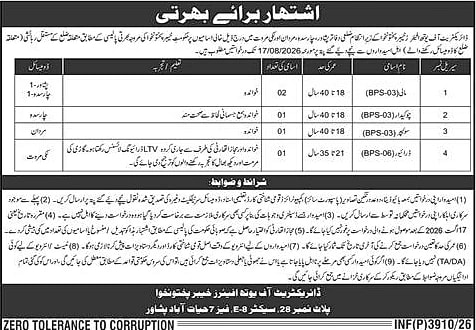 job advertisement image