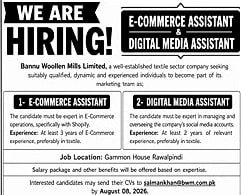 job advertisement image