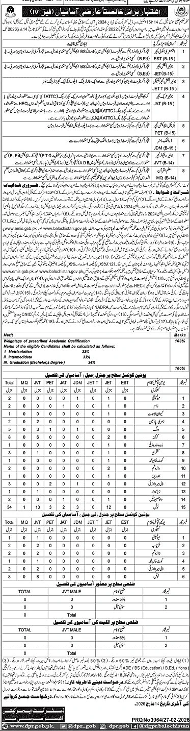 Musa Khel teaching jobs advertisement, education department recruitment