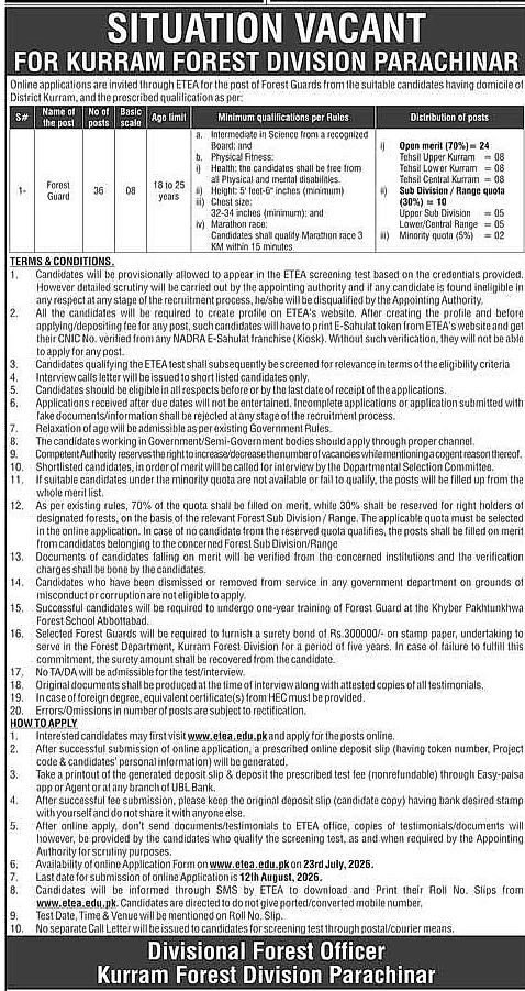 job advertisement image
