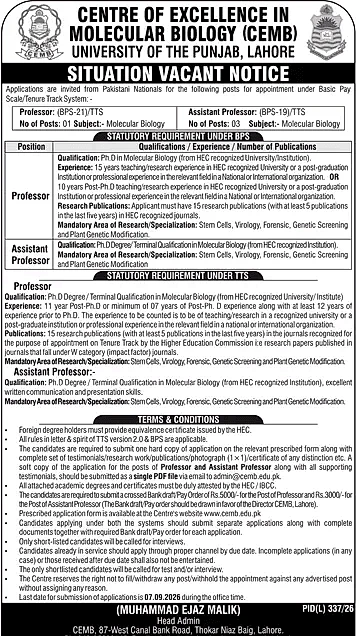 job advertisement image
