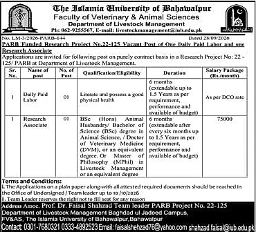 job advertisement image