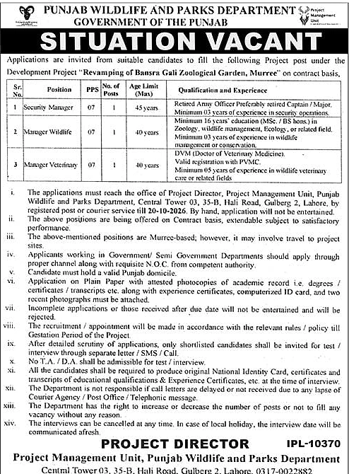 job advertisement image