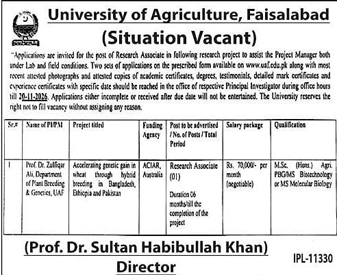 job advertisement image