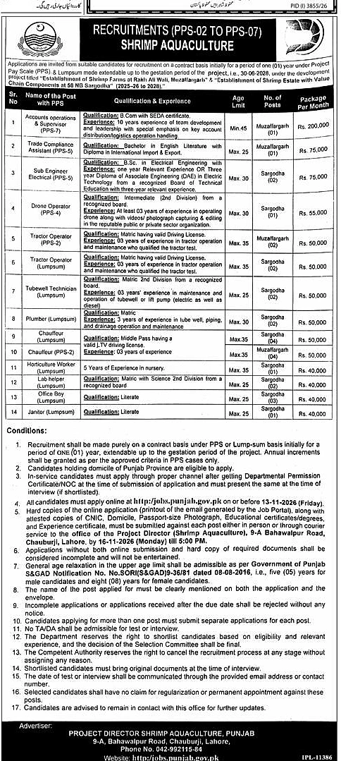 job advertisement image