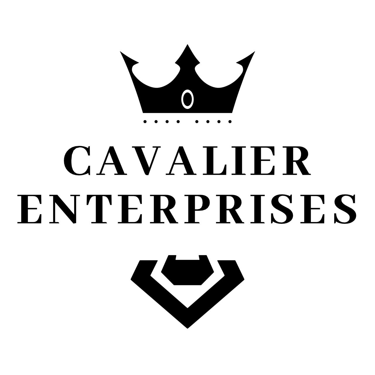 Associate Lead - Business Development (Channel Management)