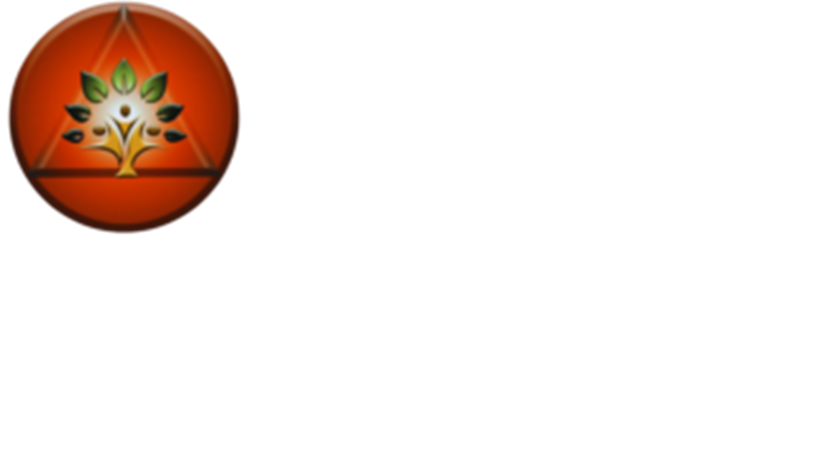 Business Development Executive
