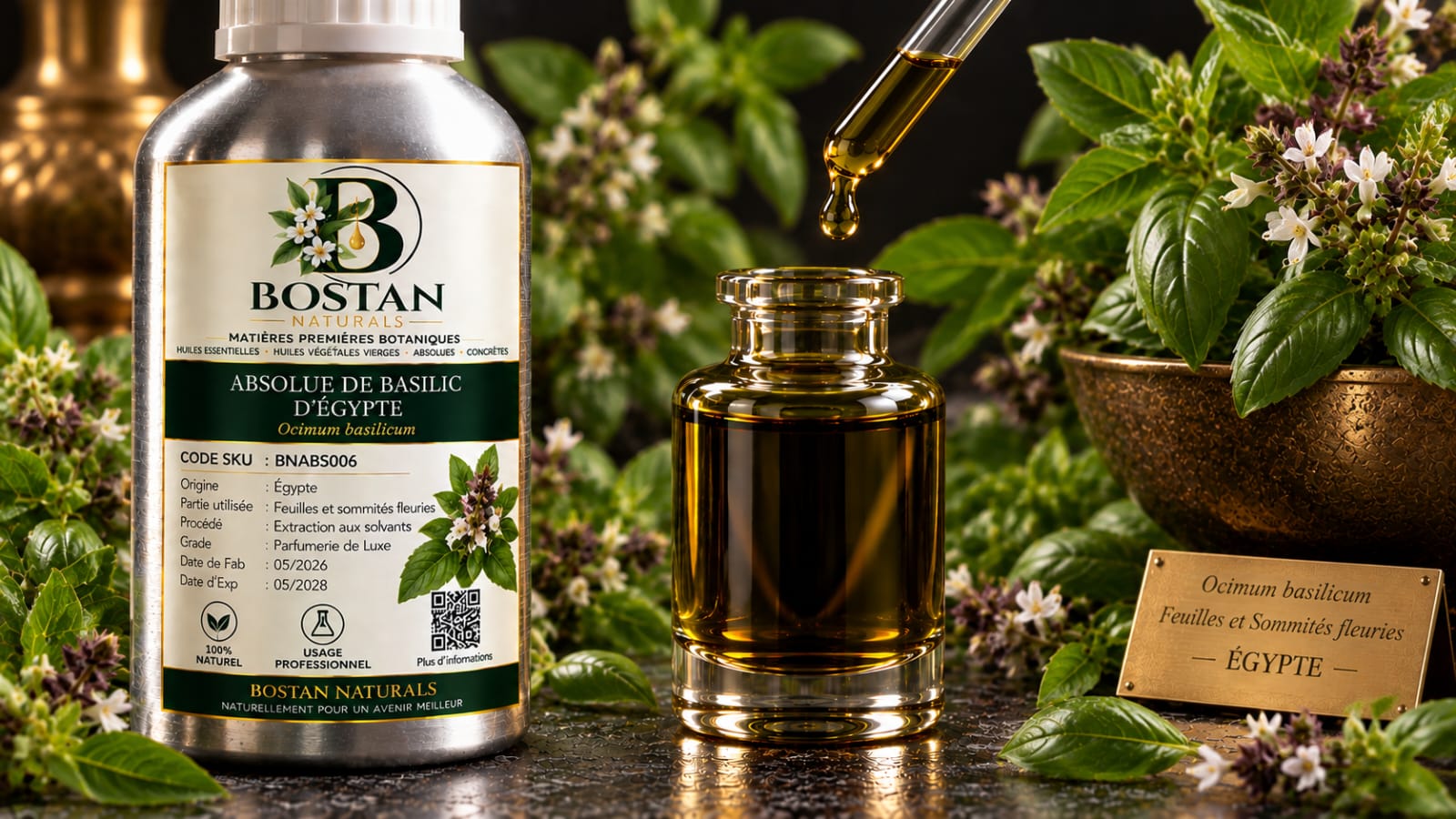 Egyptian Basil Absolute