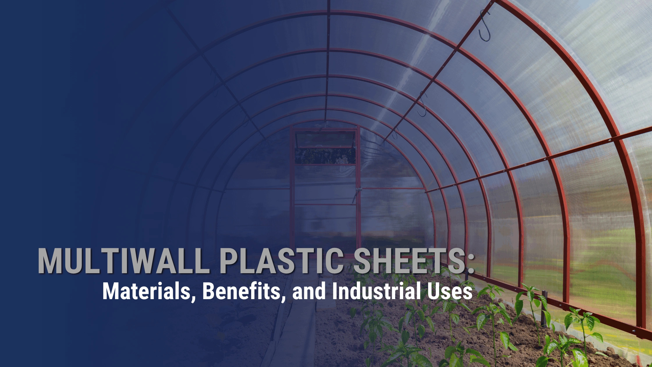 Multiwall plastic sheets — materials, benefits, and industrial uses guide