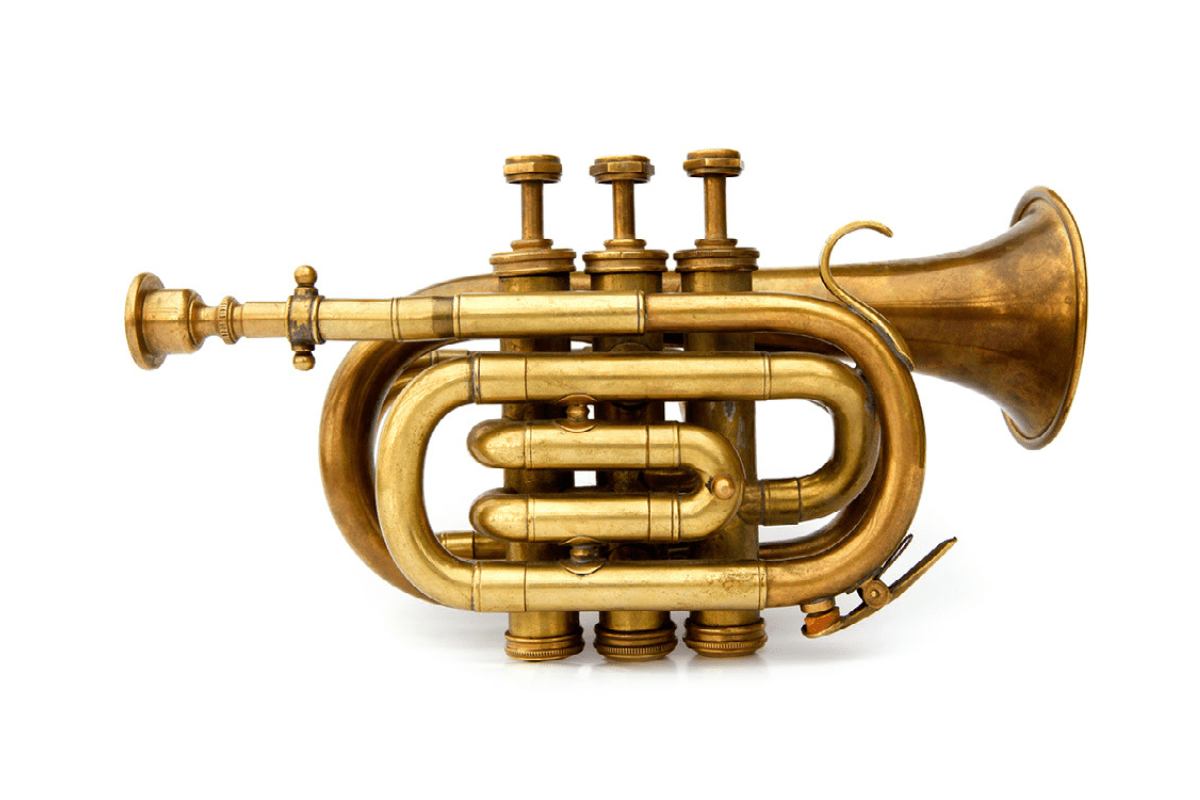 brass-instrument-on-display