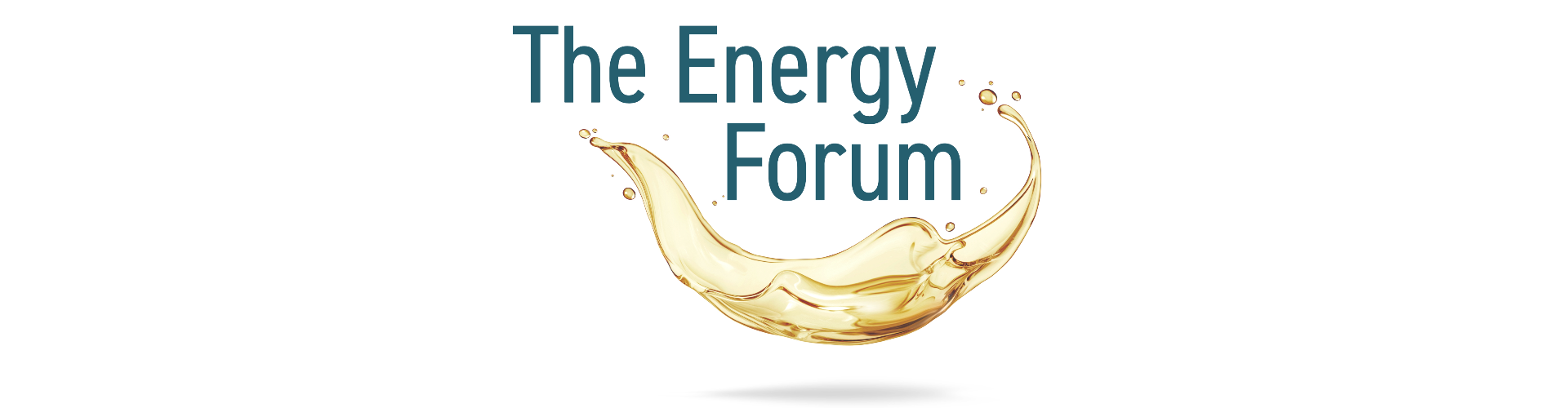 Port Plastics Energy Forum