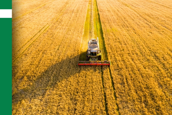 Agriculture plastics