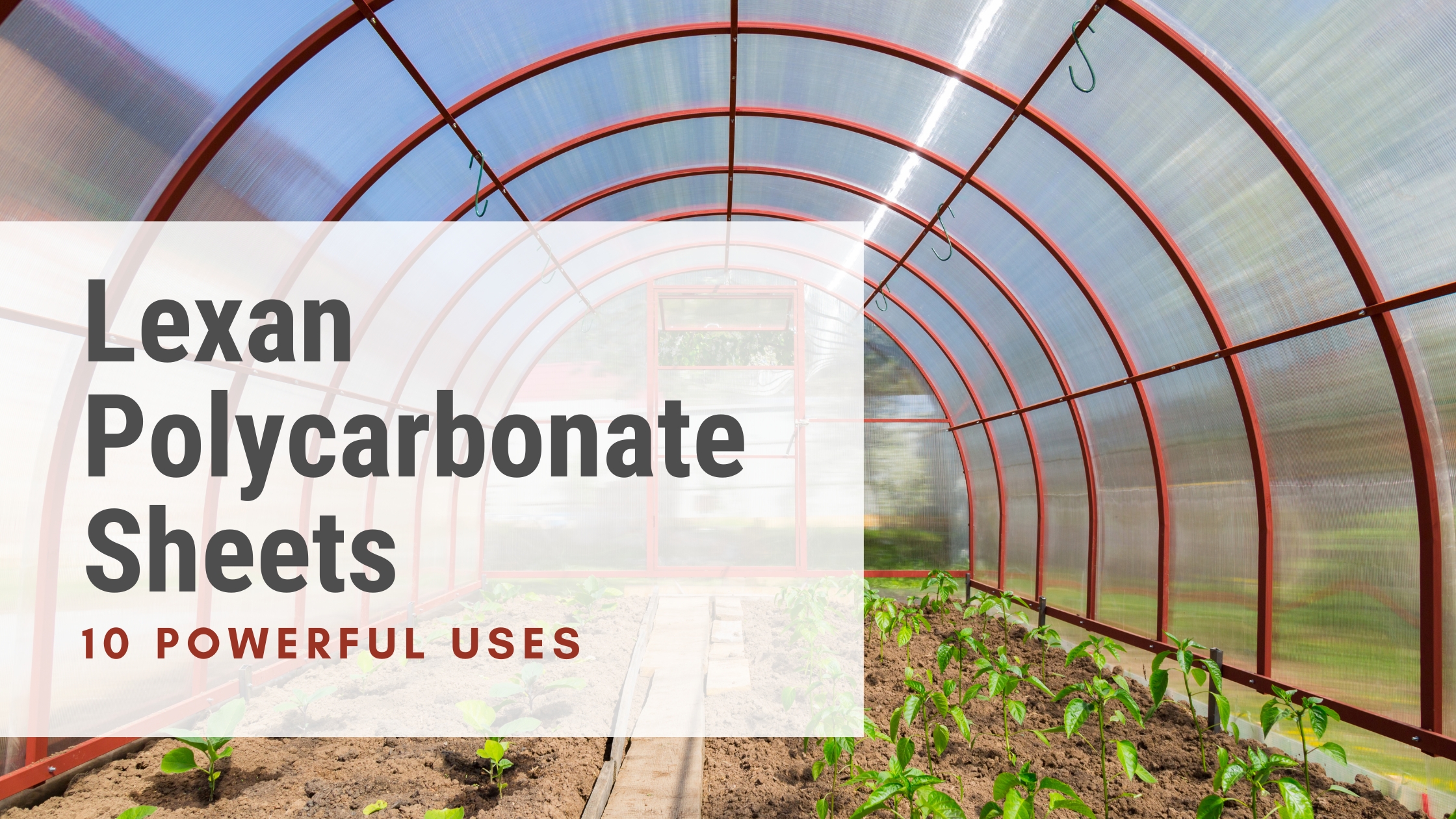 10 Powerful Uses of Lexan Polycarbonate Sheets