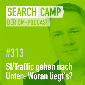 Sichtbarkeit und/oder Traffic gehen nach unten: Woran kann’s liegen? [Search Camp 313]