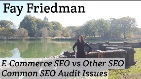 Video: Fay Friedman On E-Commerce SEO vs Other SEO & Common SEO Audit Issues #114