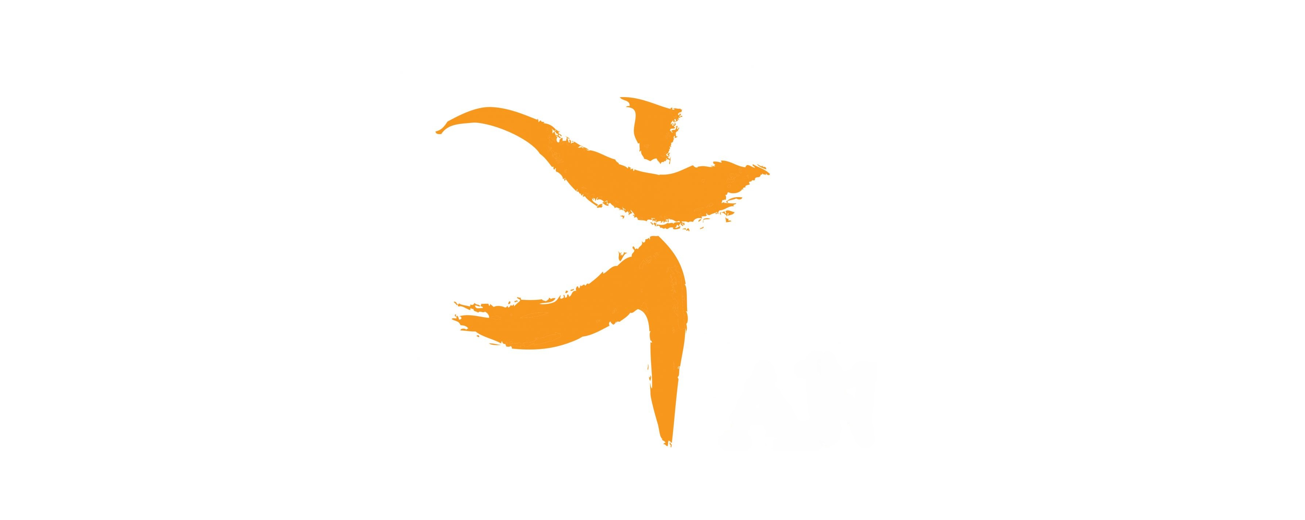 ANZAED Logo 2025