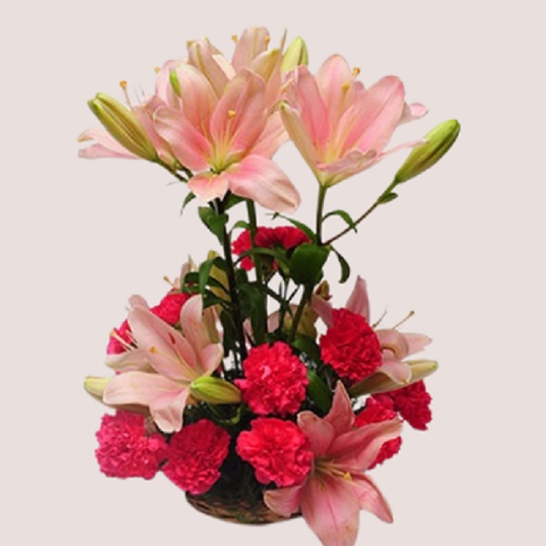 Order Lilies & Carnations online free delivery in 3 hours Flowera