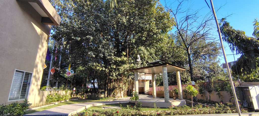 Fortune Elite 11-12-2025