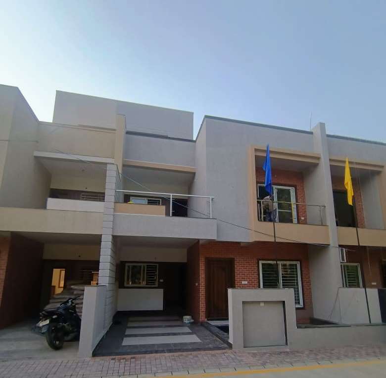 Fortune Elite 12-11-2025