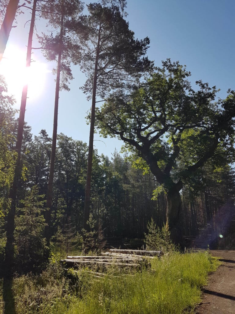 Pohlazení od psycholožky