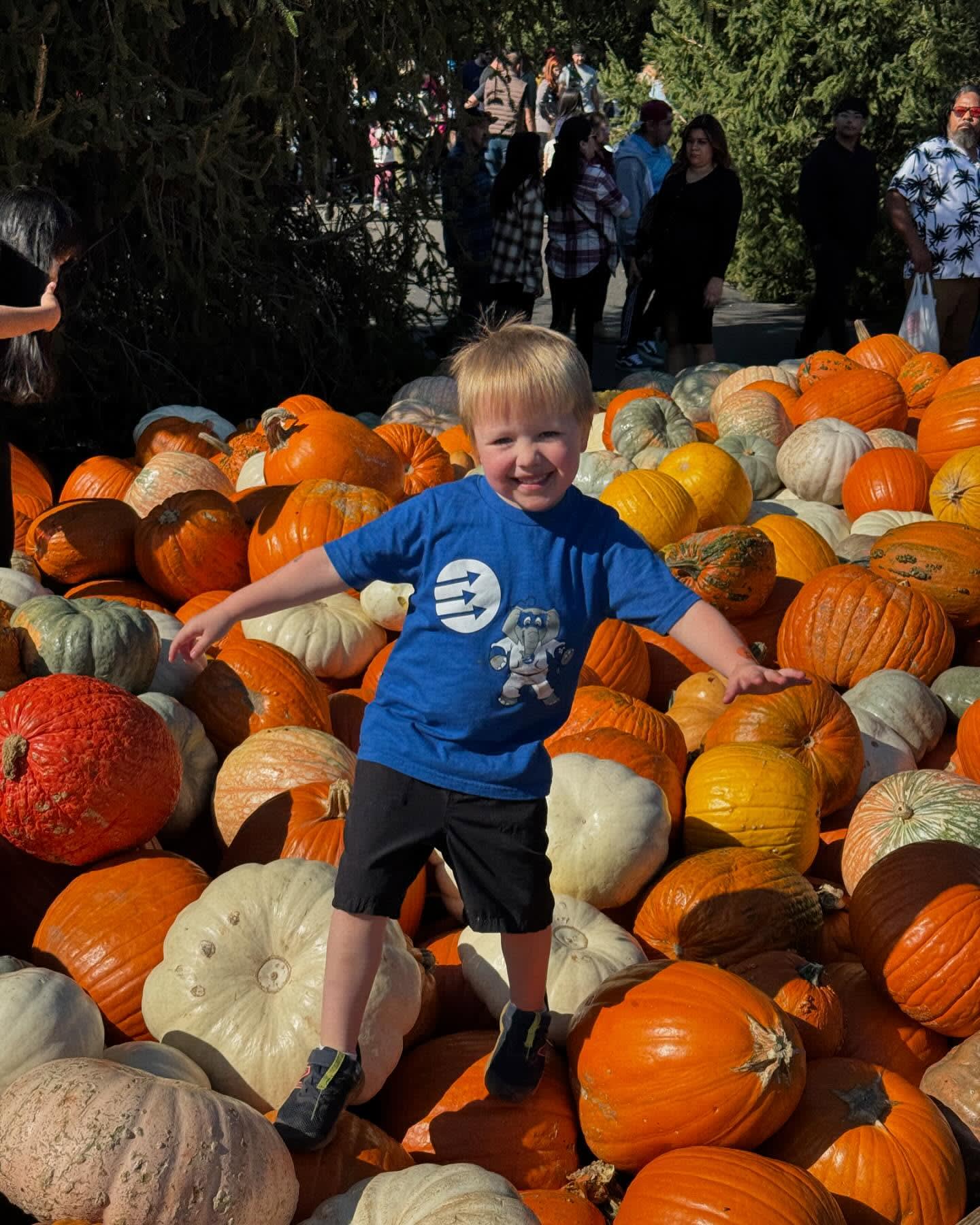 Took the boys to a pumpkin farm. ❤️