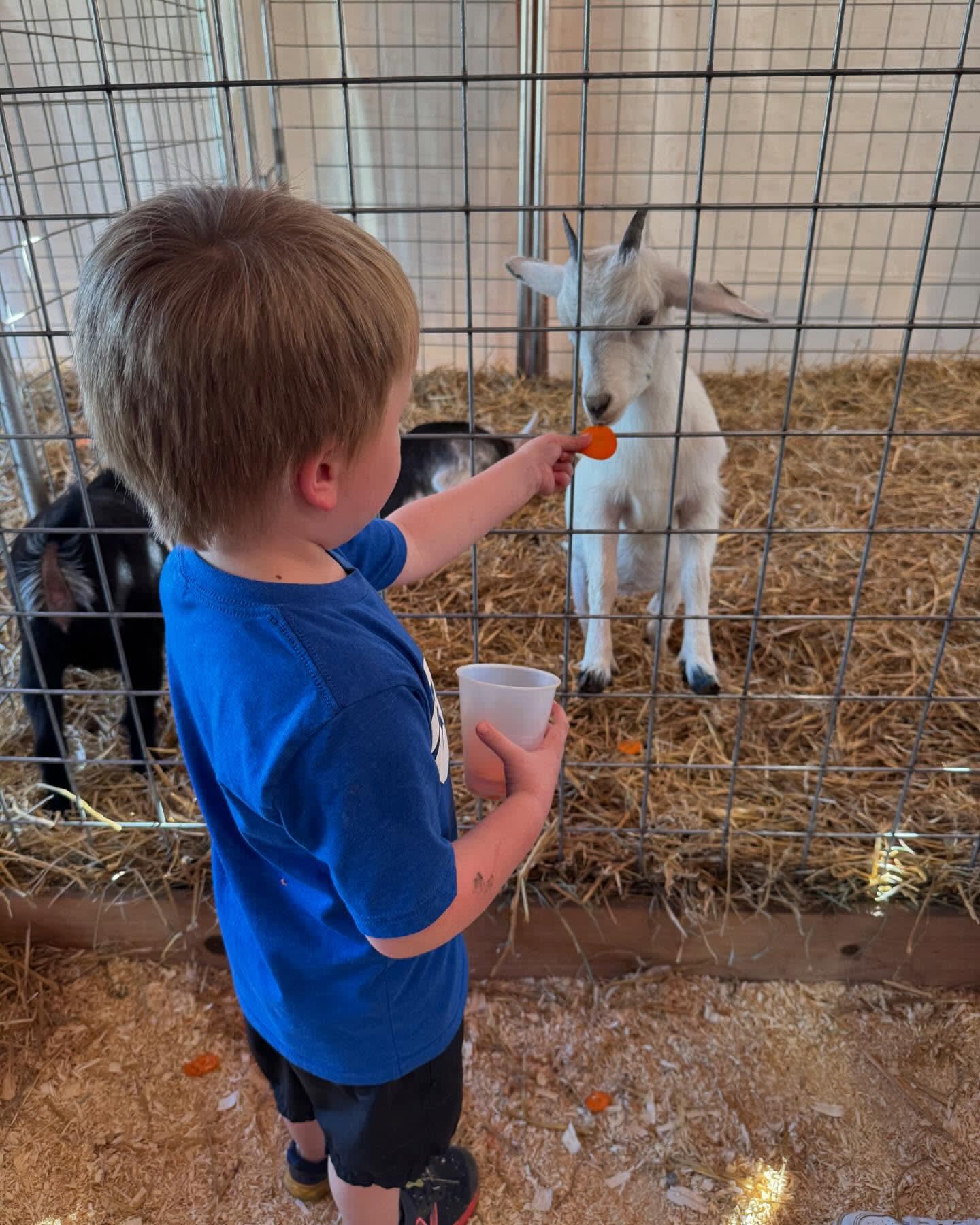 Took the boys to a pumpkin farm. ❤️