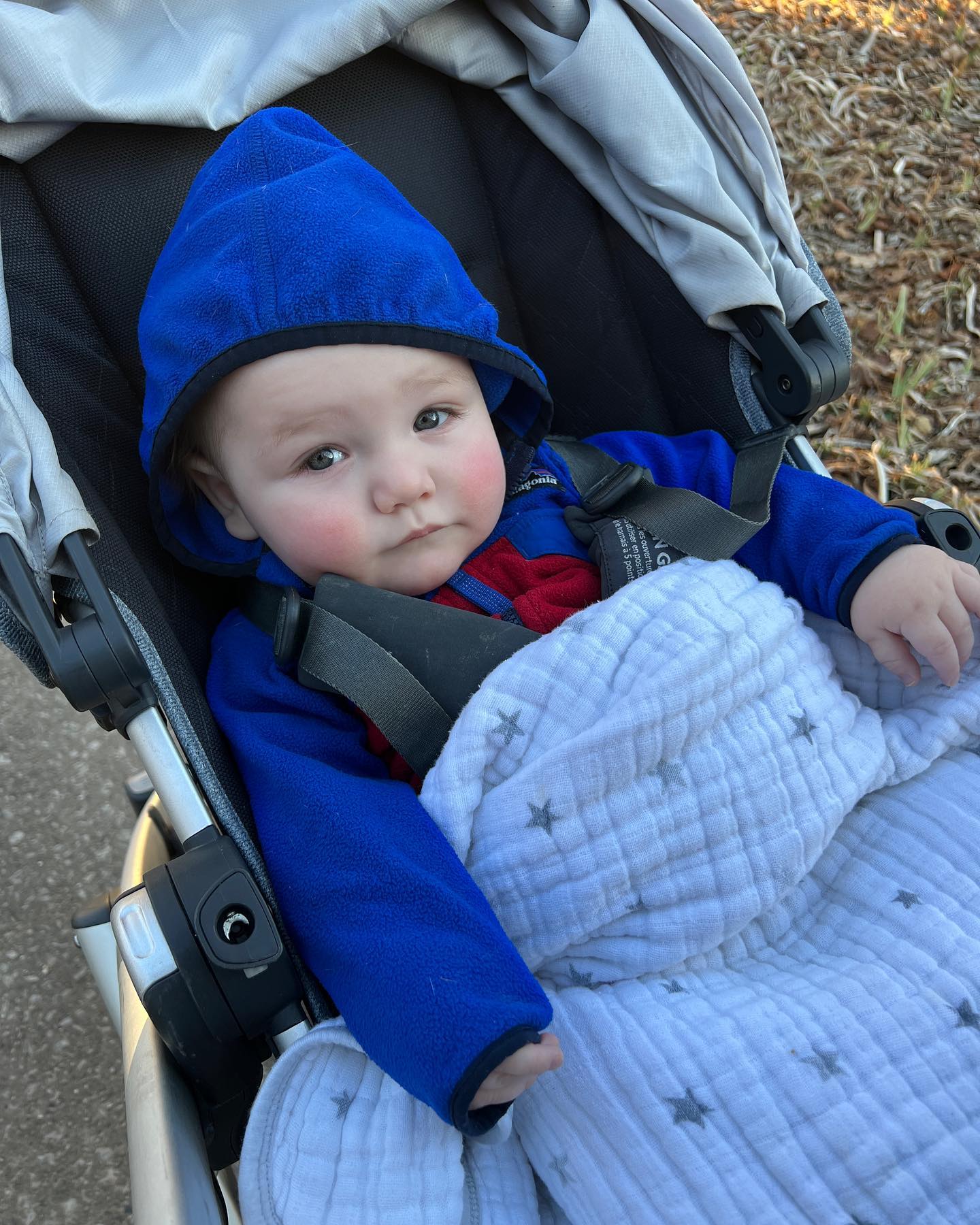 Too much cuteness this weekend.