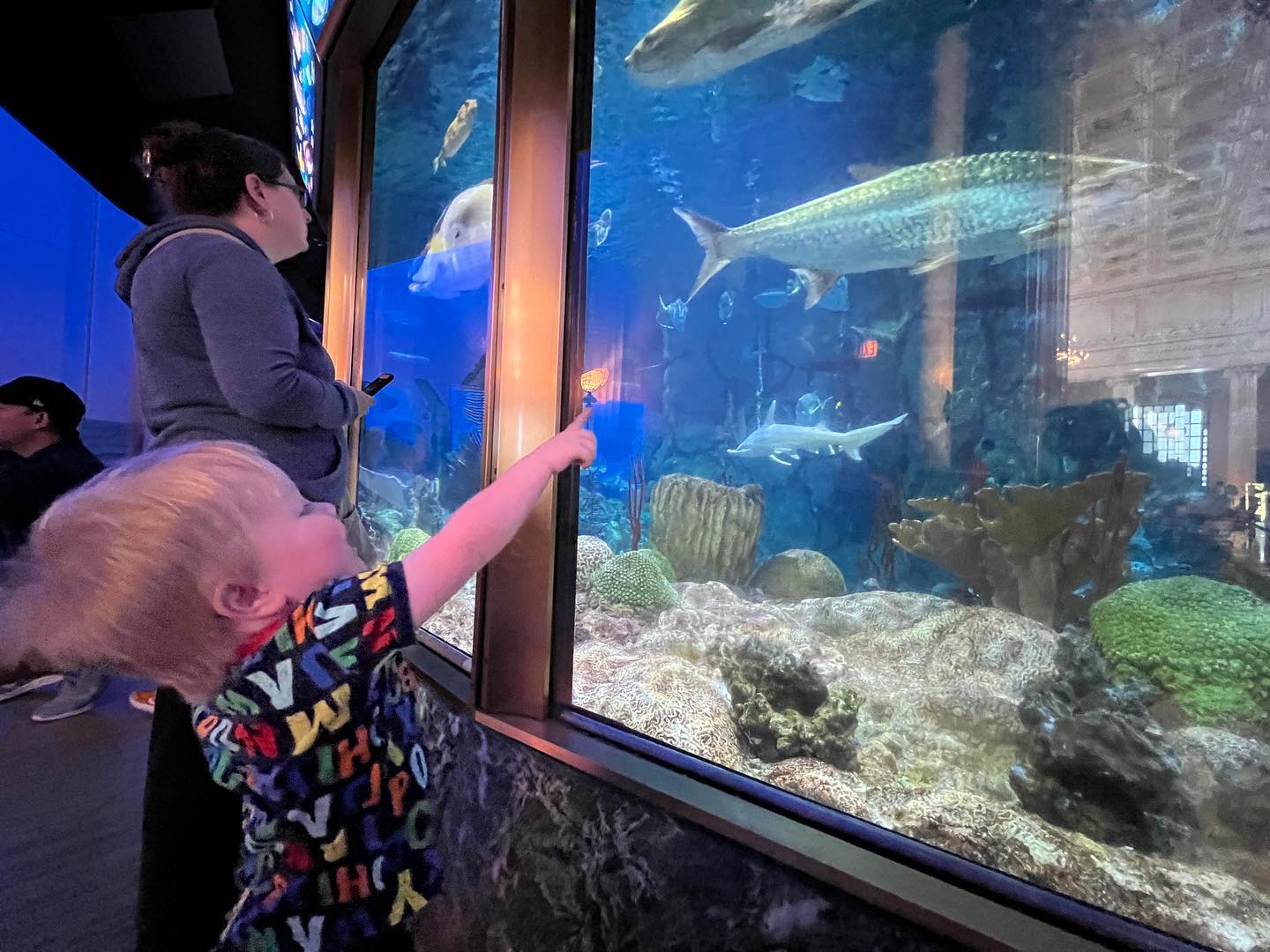 Fun time at the aquarium today!