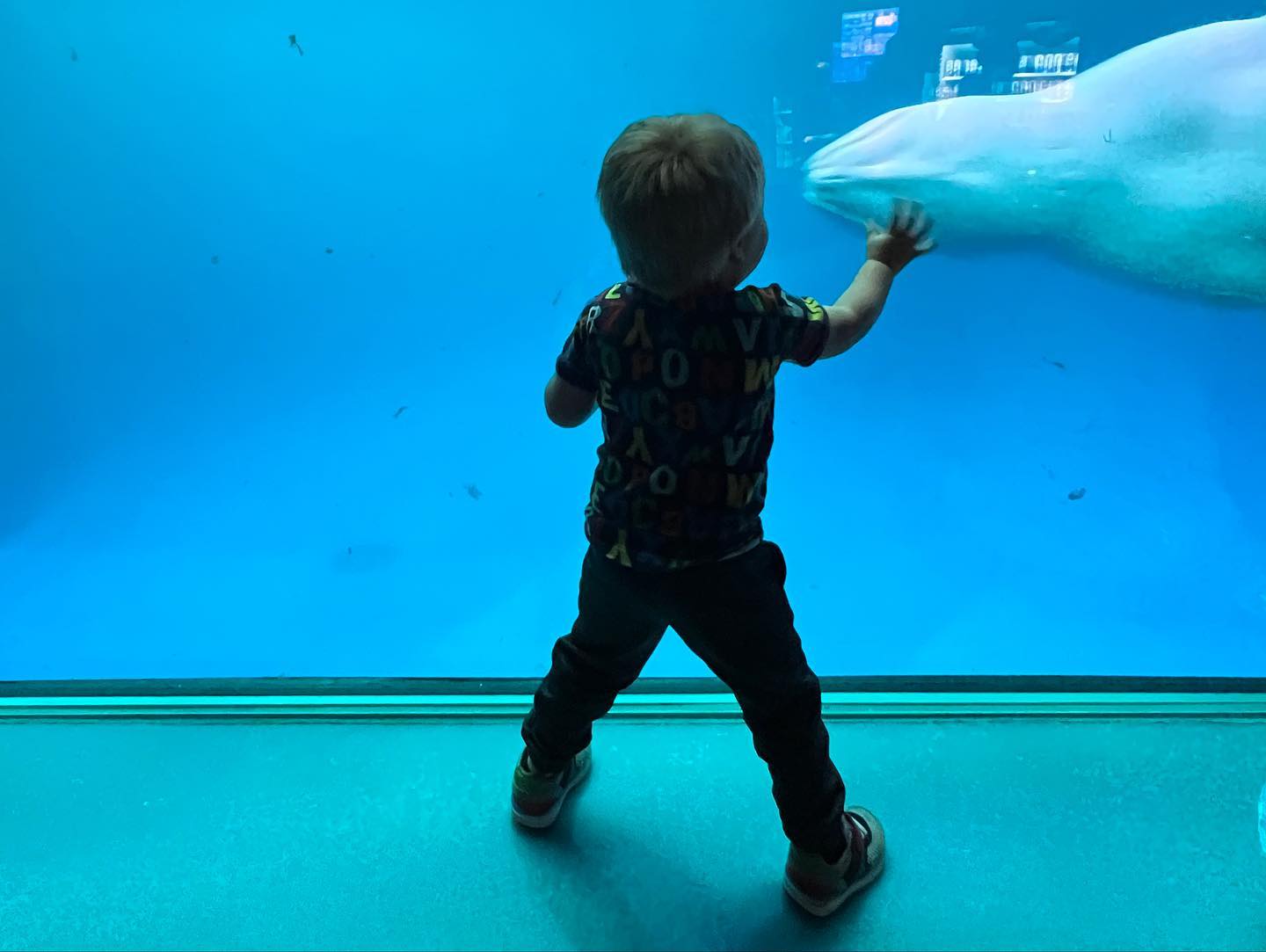 Fun time at the aquarium today!