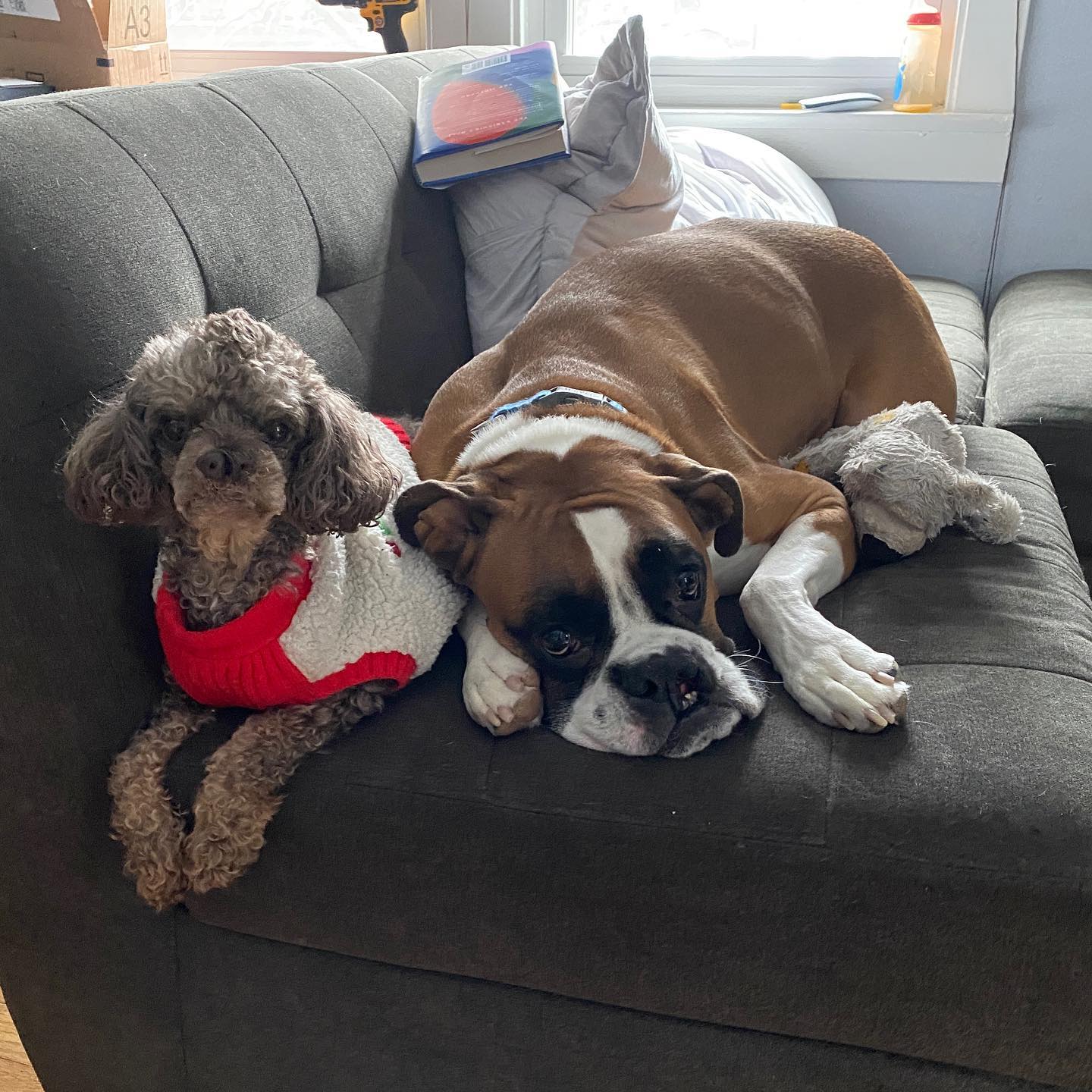 Sunday