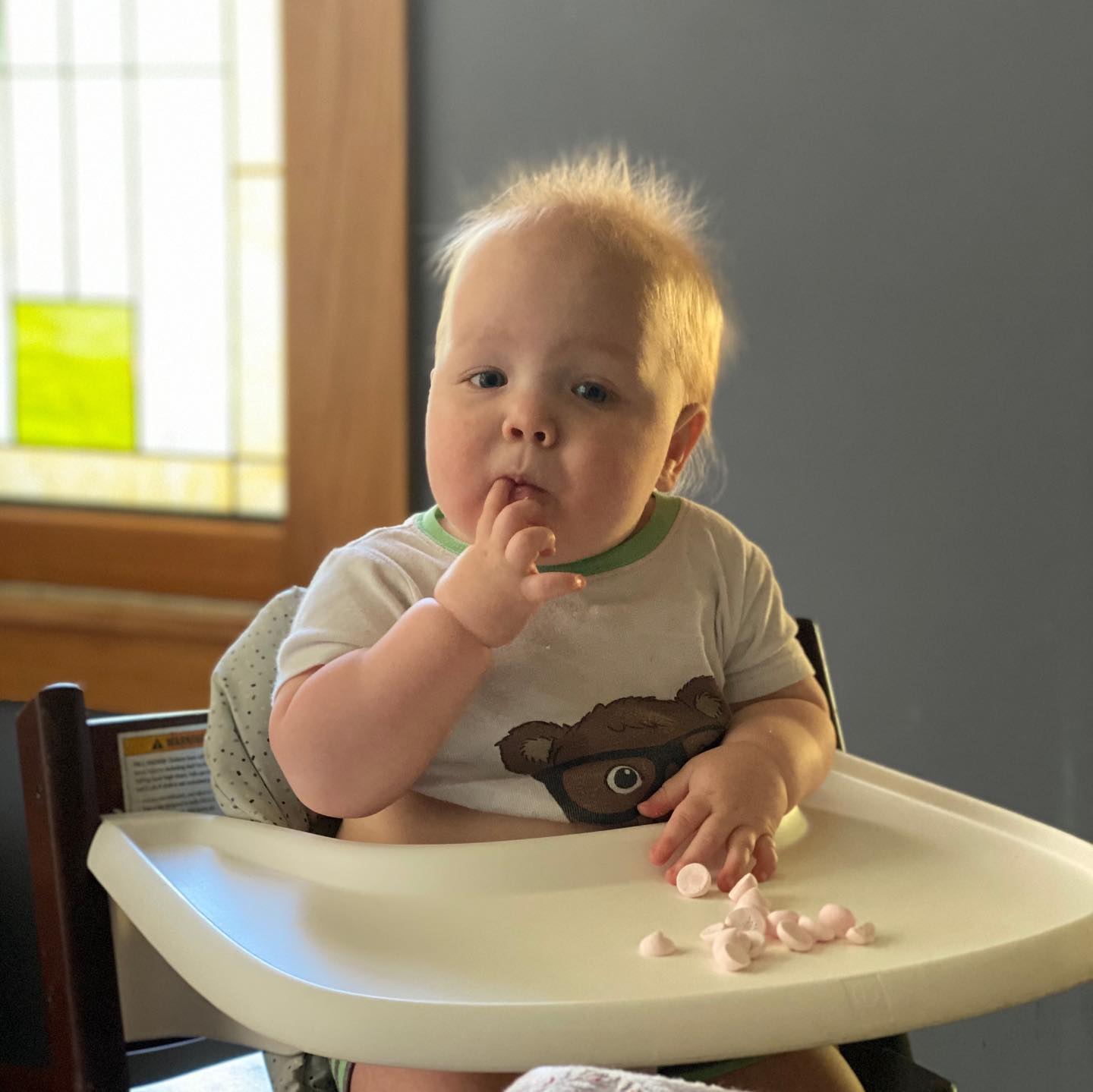 Here's some shots of a baby hamming it up during snack time to hopefully brighten your day just a tiny bit. Stay strong out there, friends.
