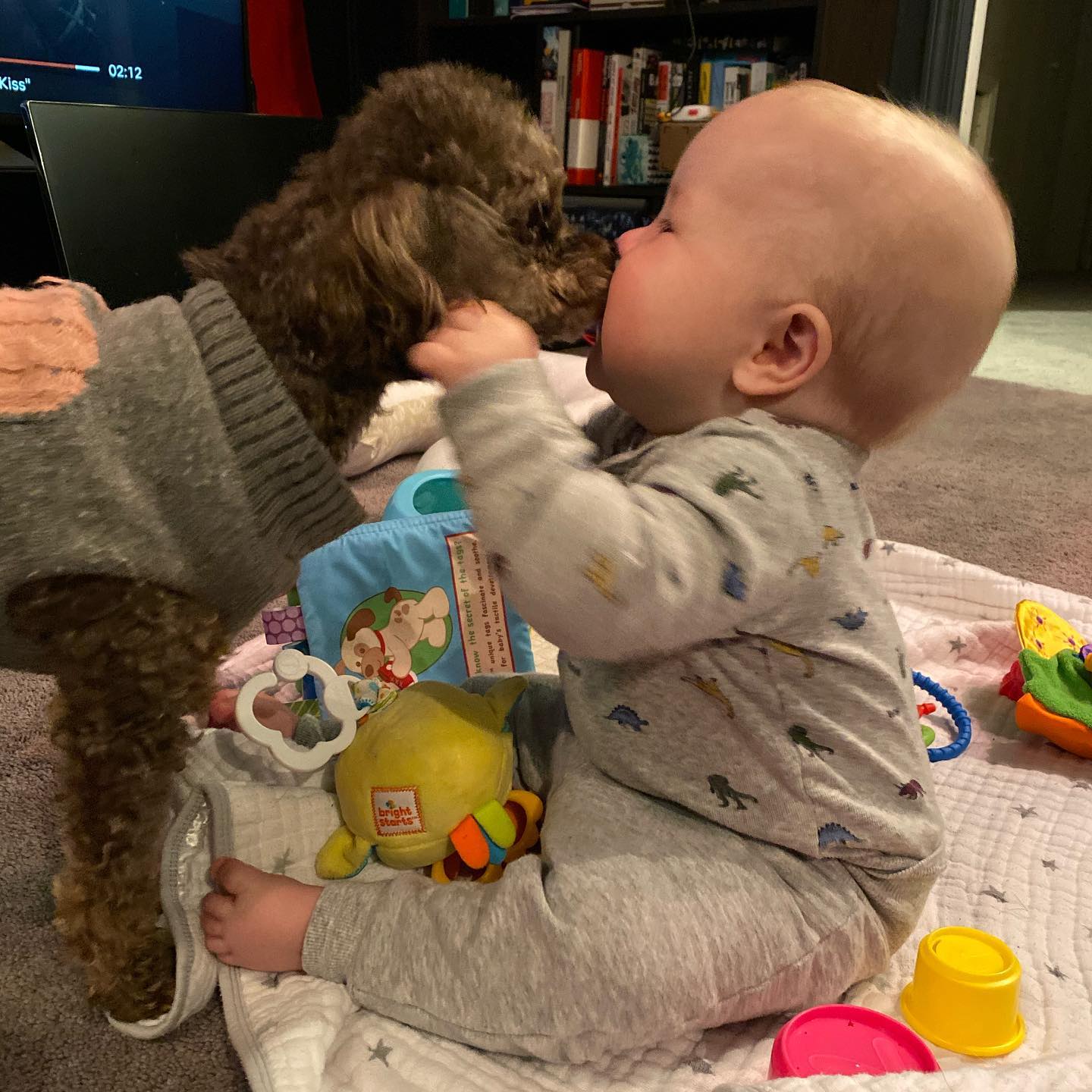 Smootches