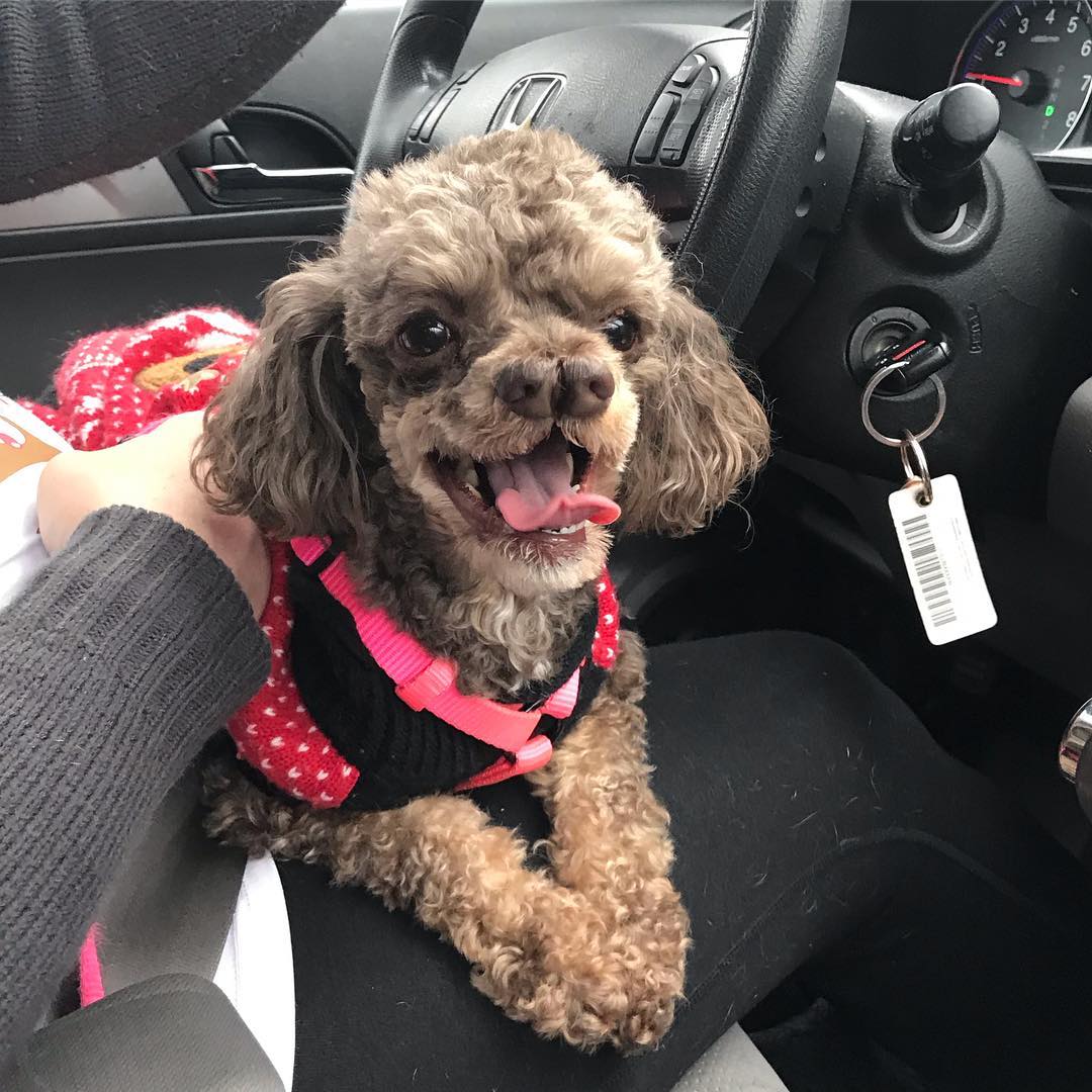 Emily loves a car ride