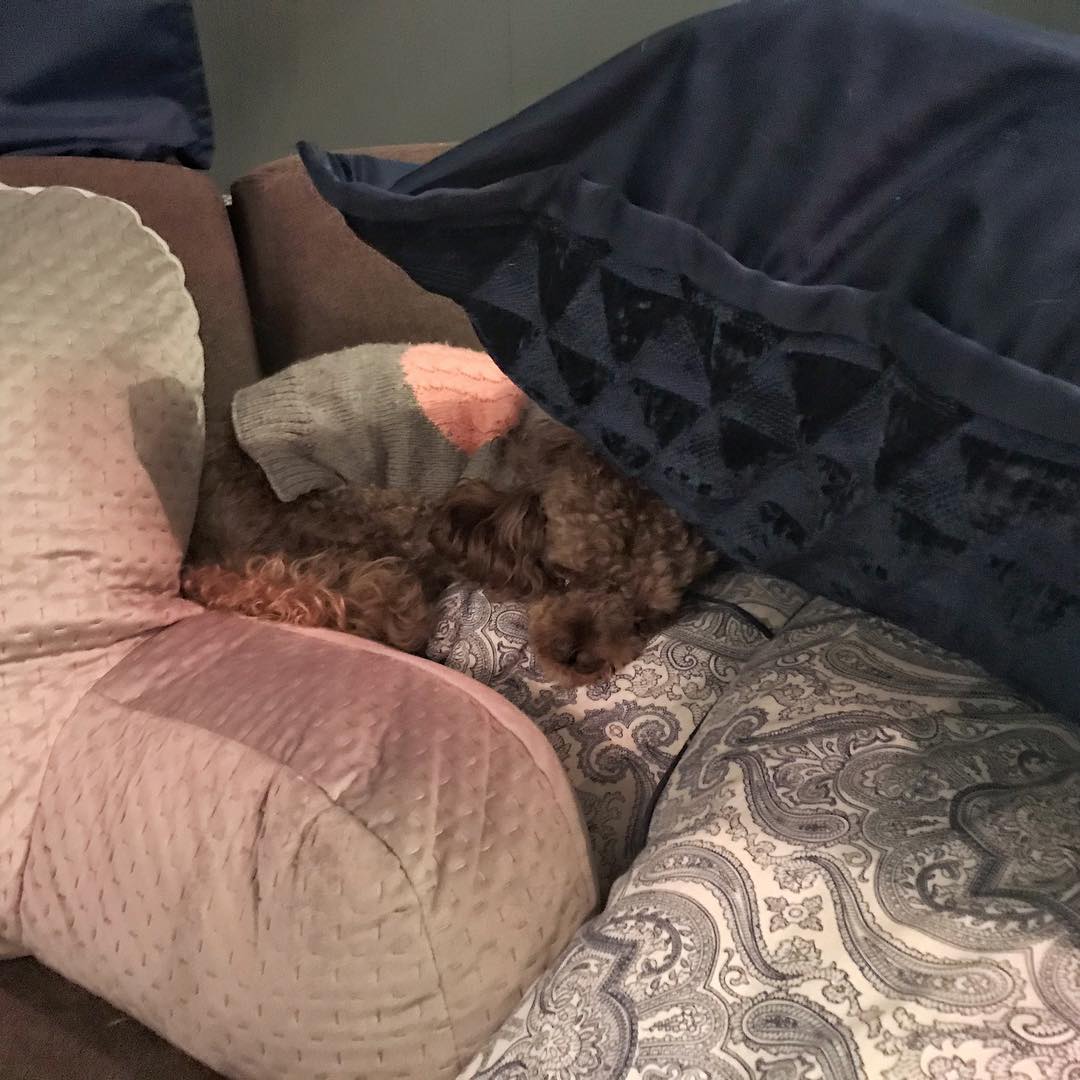 Pillow fort!