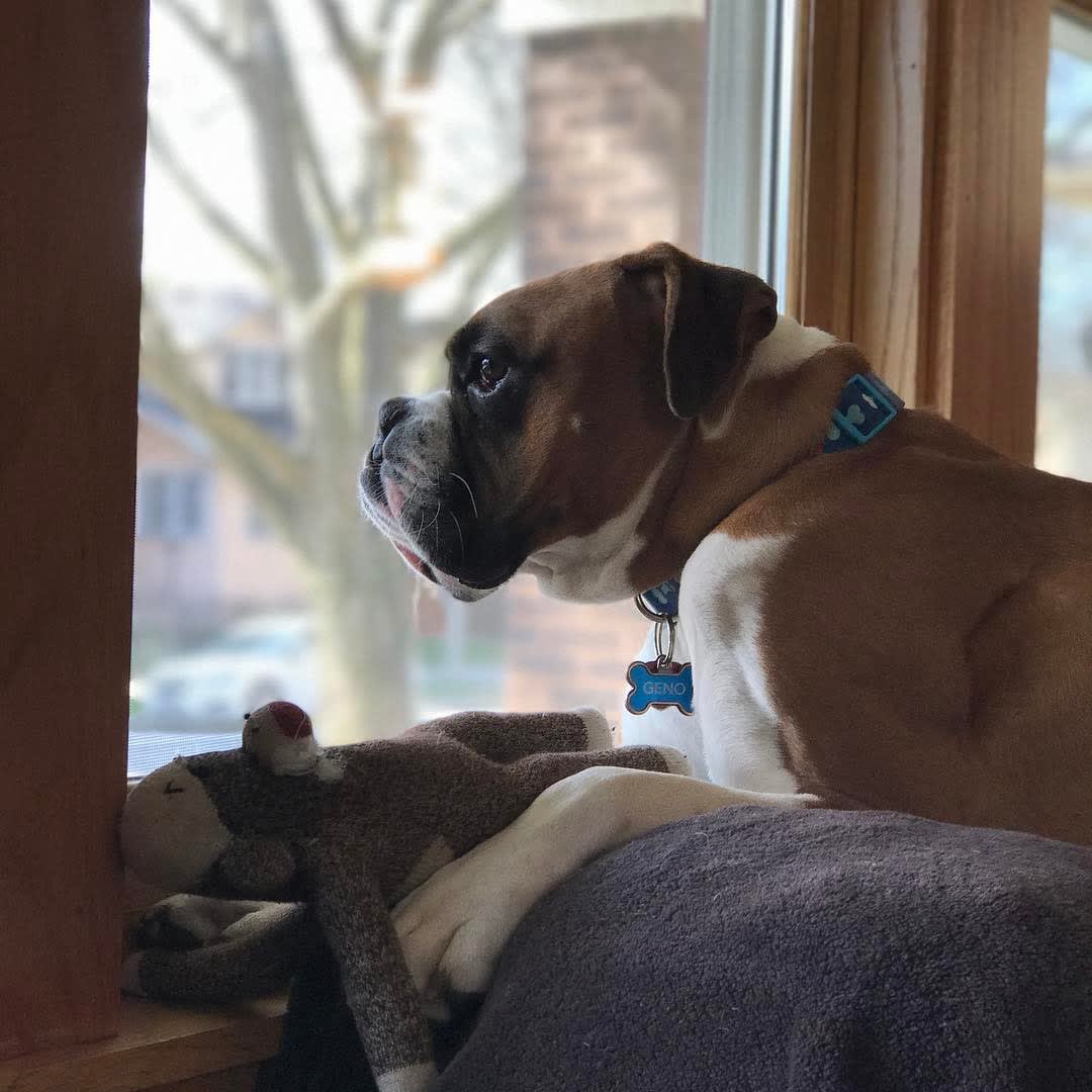 People watching