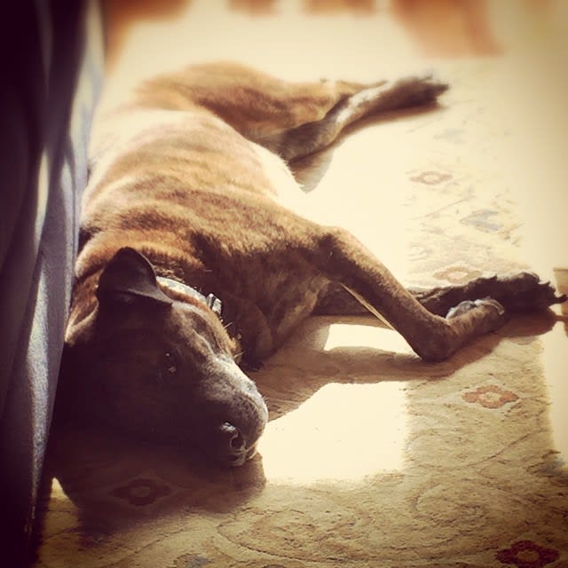 Sunbathing