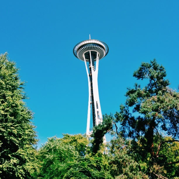 Needle #vscocam